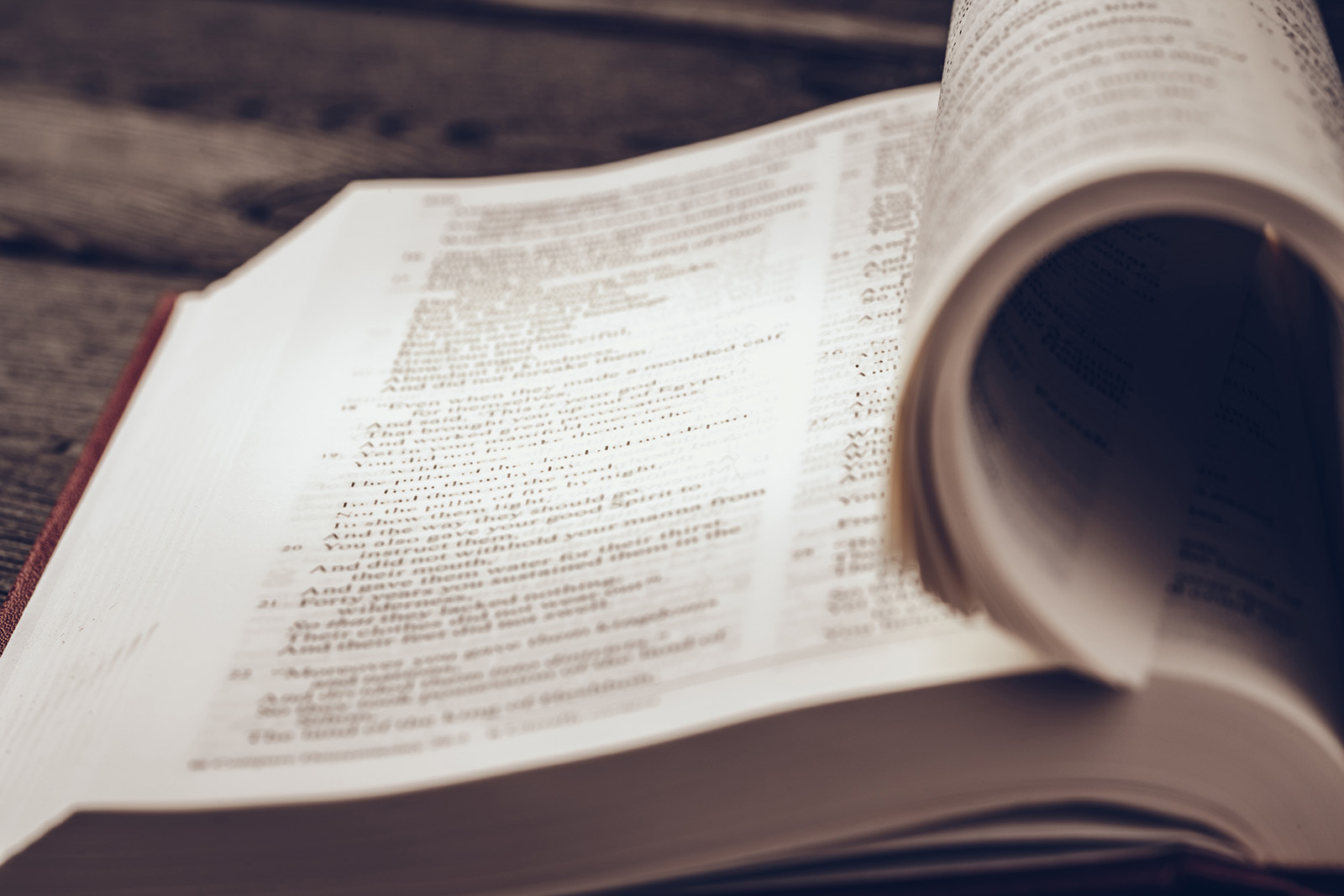 Bible